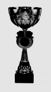 Trofeus als 3 primers
