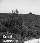 Km 4